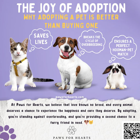 The Joy and Importance of Adopting a Pet