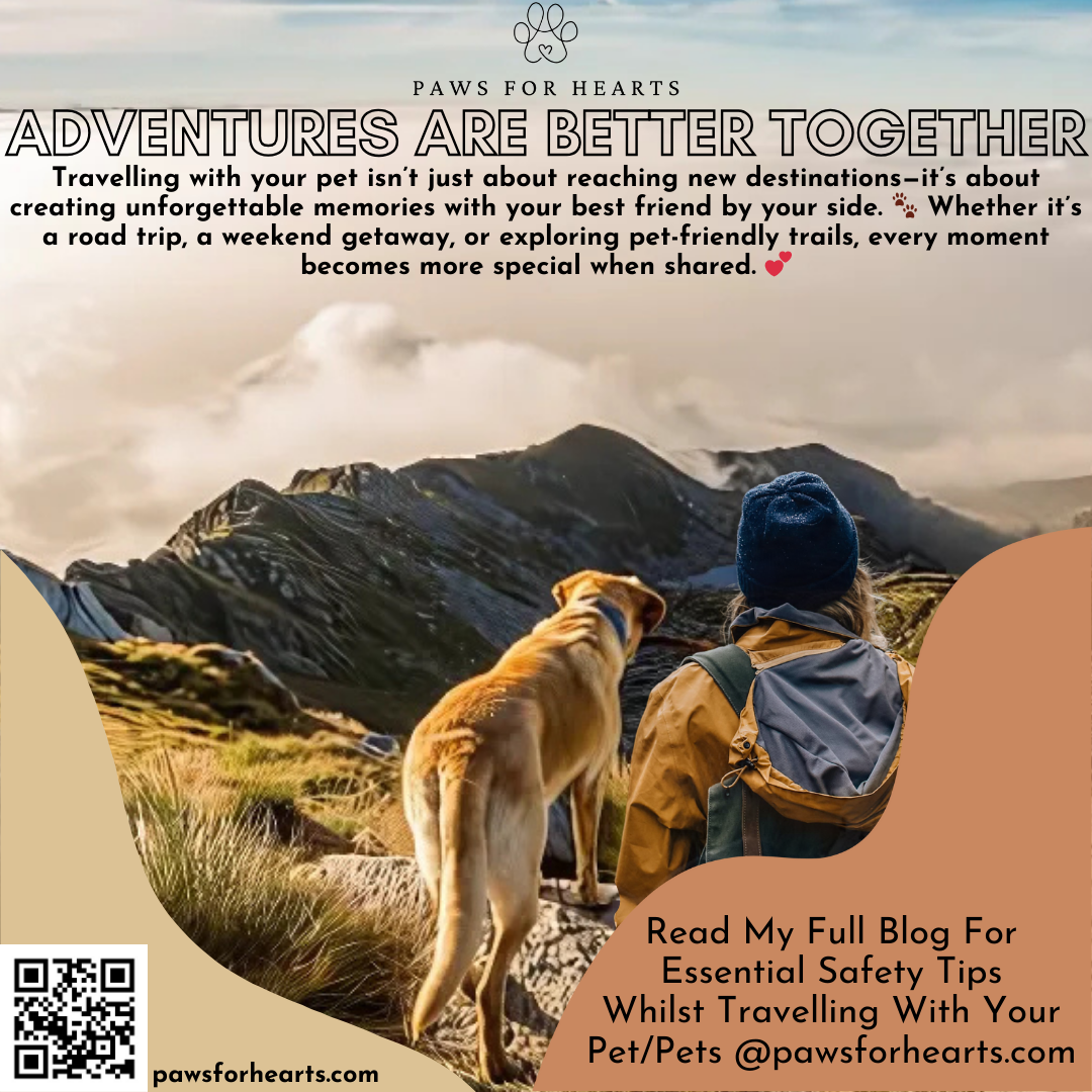 Travelling with Your Pet: Essential Safety Tips & Unforgettable Adventures