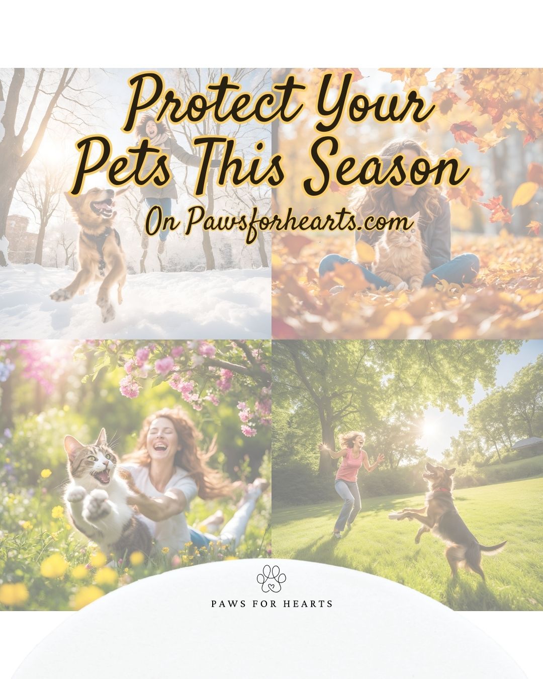 Protect Your Pets: Seasonal Hazards to Watch Out For!