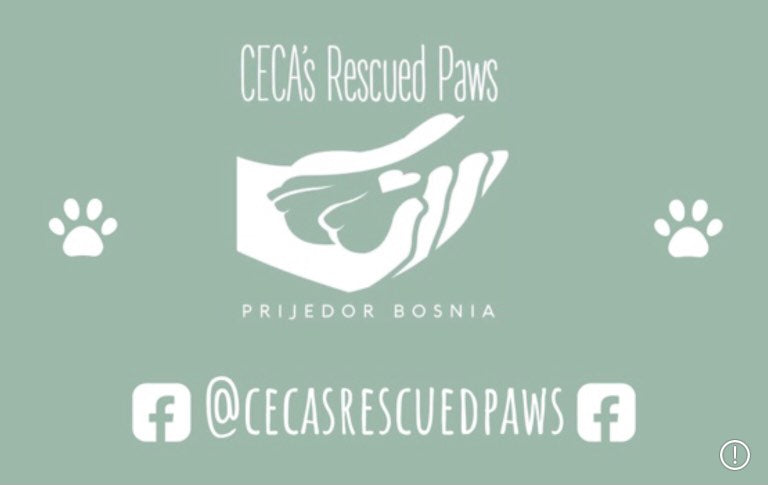 SafePaw Shelter - Supporting Ceca's Rescued Paws