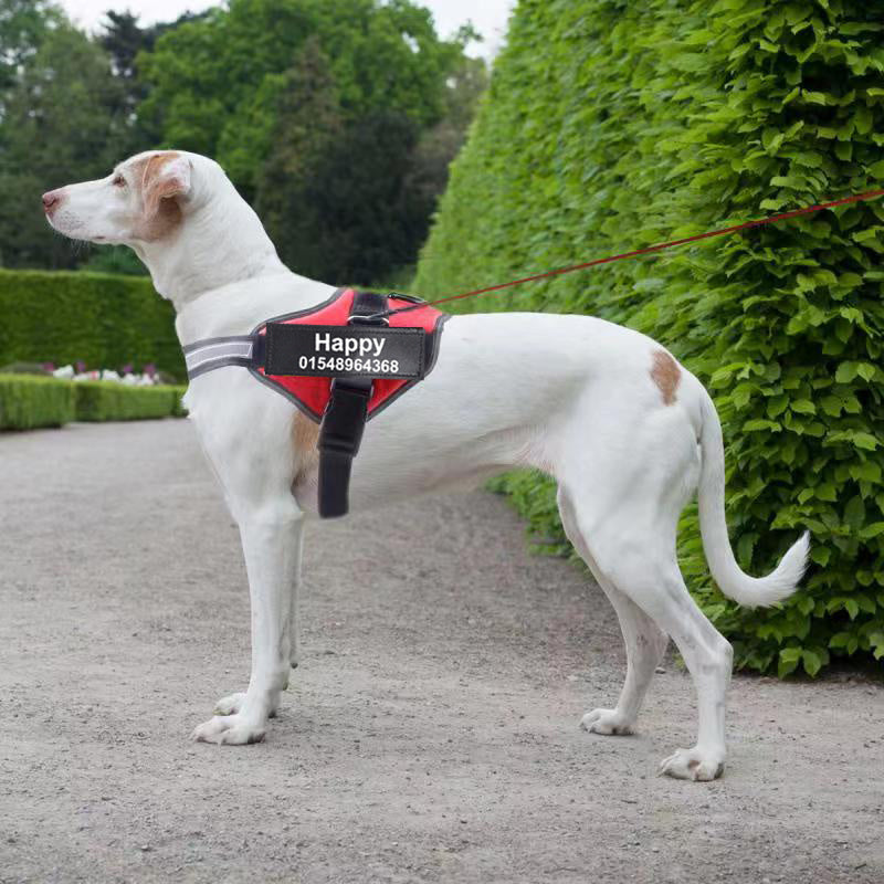 Custom Reflective No-Pull Dog Harness – Adjustable Breathable Harness for Small to Large Dogs