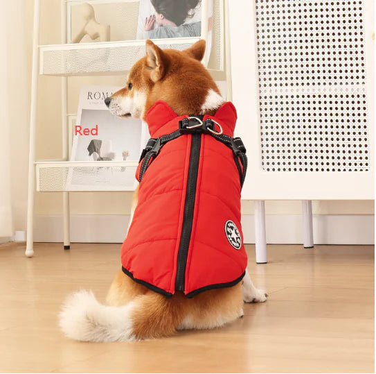 Winter Dog Jacket With Built-In Harness