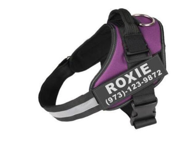 Custom Reflective No-Pull Dog Harness – Adjustable Breathable Harness for Small to Large Dogs