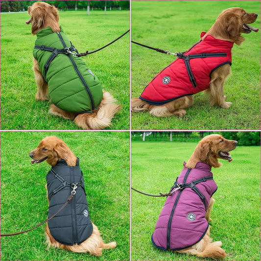 Winter Dog Jacket With Built-In Harness