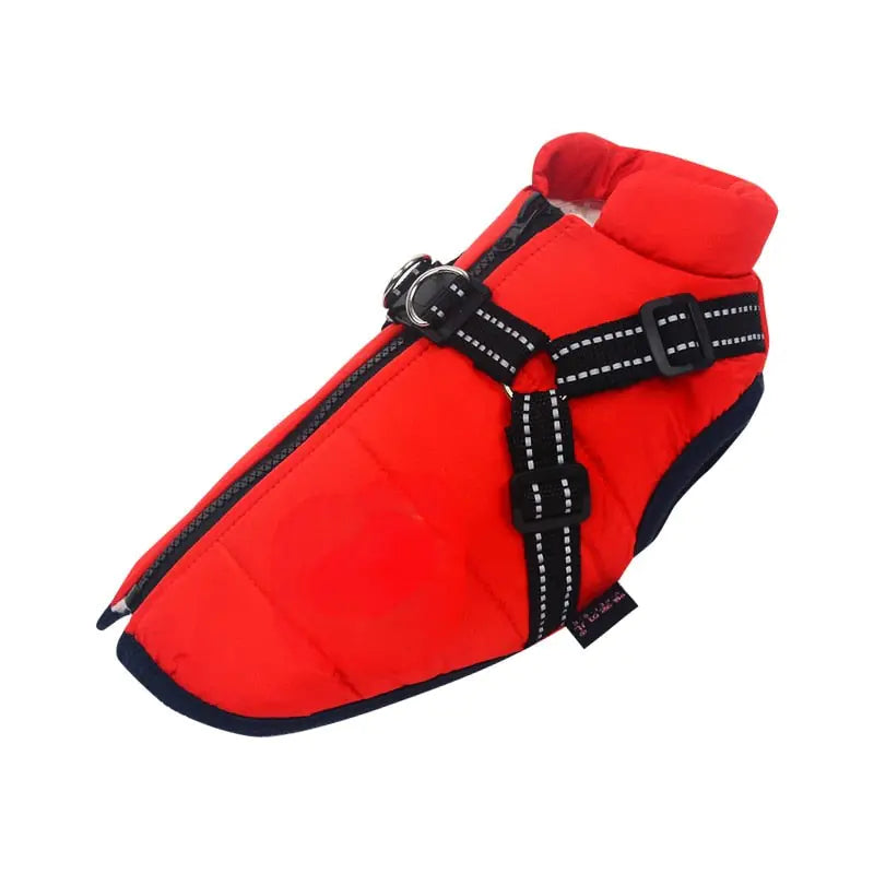 Winter Dog Jacket With Built-In Harness