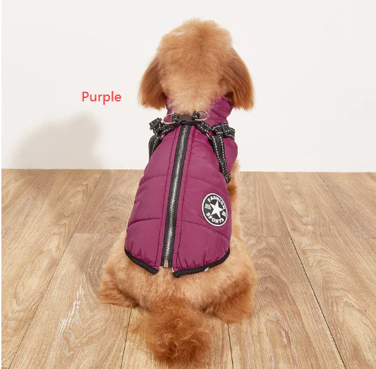 Winter Dog Jacket With Built-In Harness