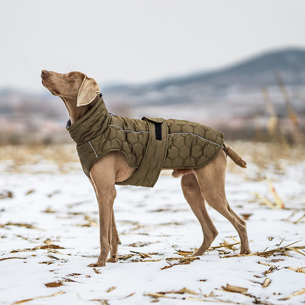 Winter Pet Clothing Thickened Dog