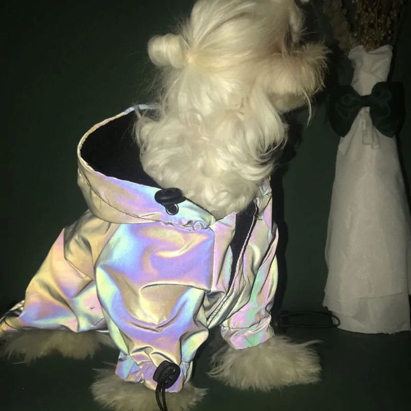 Flashing Dog Hoodie