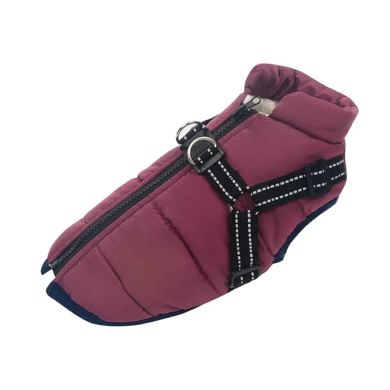 Winter Dog Jacket With Built-In Harness